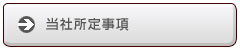 ���Џ��莖��